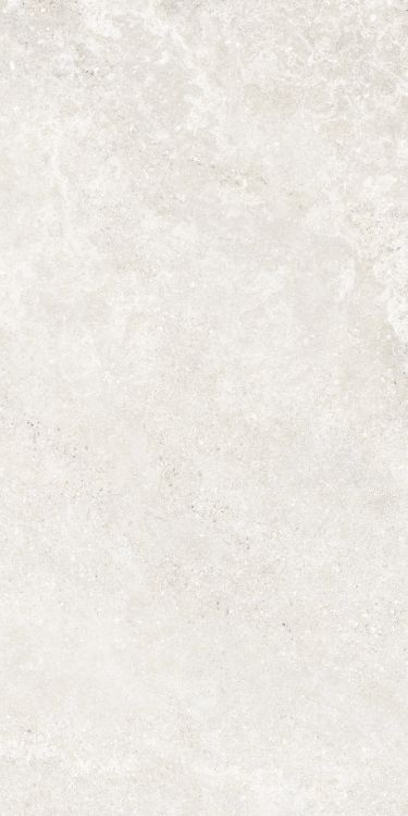 Untamed Wander White 24 x 48